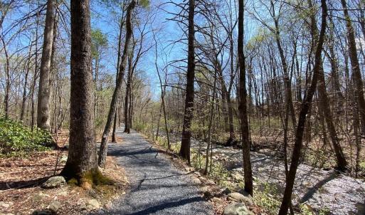 Photo #12 of 38 CREEKSIDE CL, NELLYSFORD, VA 1.1 acres