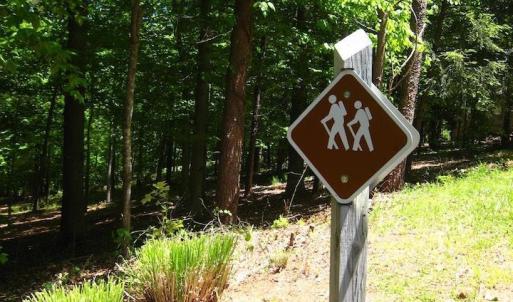 Photo #19 of 38 CREEKSIDE CL, NELLYSFORD, VA 1.1 acres