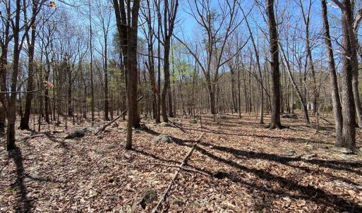 Photo #9 of 38 CREEKSIDE CL, NELLYSFORD, VA 1.1 acres