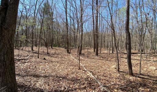 Photo #8 of 38 CREEKSIDE CL, NELLYSFORD, VA 1.1 acres