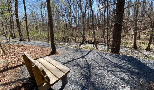 Photo #13 of 38 CREEKSIDE CL, NELLYSFORD, VA 1.1 acres