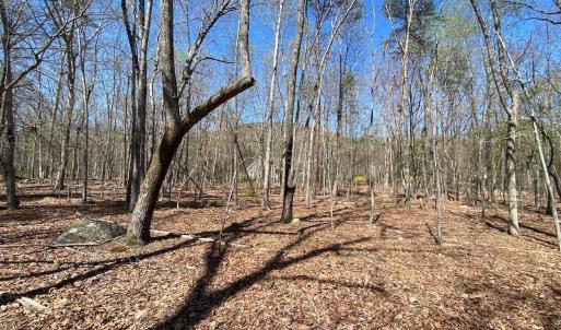 Photo #7 of 38 CREEKSIDE CL, NELLYSFORD, VA 1.1 acres