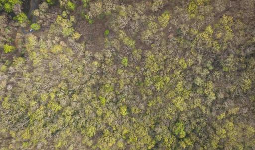 Photo #18 of Lot 42 TREE HOUSE PL, NELLYSFORD, VA 10.0 acres