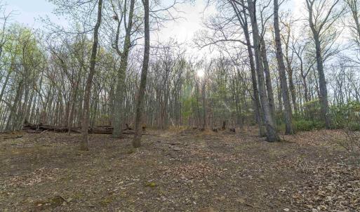 Photo #10 of Lot 42 TREE HOUSE PL, NELLYSFORD, VA 10.0 acres