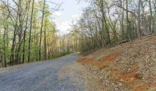 Photo #13 of Lot 42 TREE HOUSE PL, NELLYSFORD, VA 10.0 acres