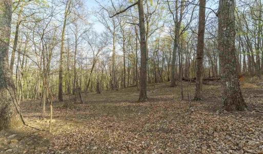 Photo #12 of Lot 42 TREE HOUSE PL, NELLYSFORD, VA 10.0 acres