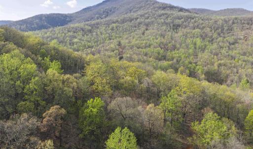 Photo #4 of Lot 42 TREE HOUSE PL, NELLYSFORD, VA 10.0 acres