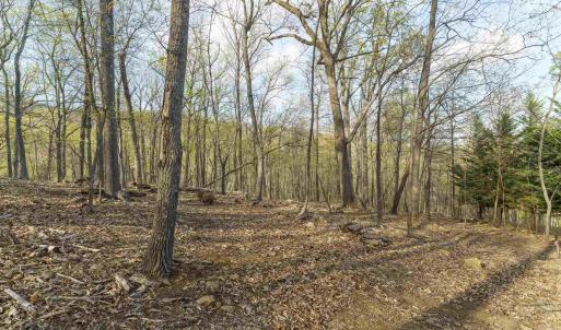 Photo #6 of Lot 42 TREE HOUSE PL, NELLYSFORD, VA 10.0 acres