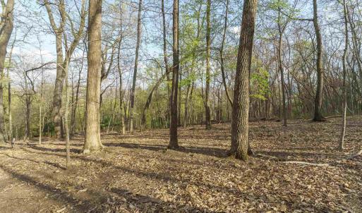 Photo #9 of Lot 42 TREE HOUSE PL, NELLYSFORD, VA 10.0 acres