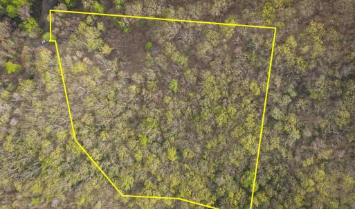 Photo #2 of Lot 42 TREE HOUSE PL, NELLYSFORD, VA 10.0 acres
