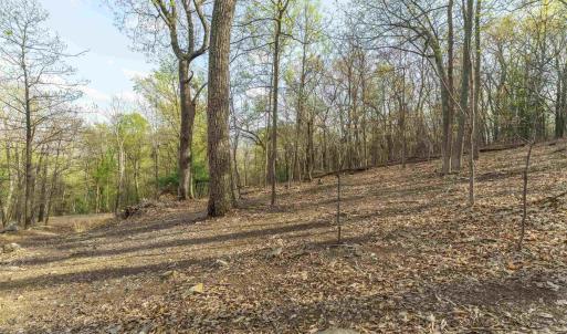 Photo #7 of Lot 42 TREE HOUSE PL, NELLYSFORD, VA 10.0 acres