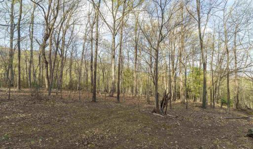 Photo #11 of Lot 42 TREE HOUSE PL, NELLYSFORD, VA 10.0 acres