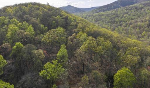 Photo #5 of Lot 42 TREE HOUSE PL, NELLYSFORD, VA 10.0 acres