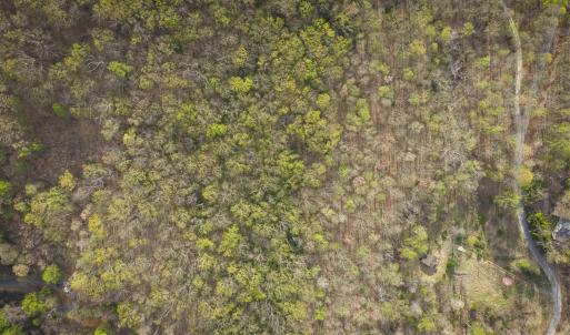 Photo #3 of Lot 42 TREE HOUSE PL, NELLYSFORD, VA 10.0 acres