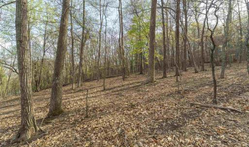 Photo #8 of Lot 42 TREE HOUSE PL, NELLYSFORD, VA 10.0 acres