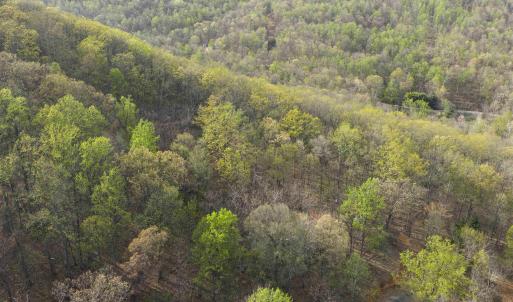 Photo #15 of Lot 42 TREE HOUSE PL, NELLYSFORD, VA 10.0 acres