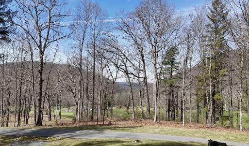 Photo #1 of 61 & 62 OLD COURSE TRAIL, HOT SPRINGS, VA 1.3 acres
