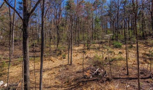 Photo #3 of TBD SHELL HOLLOW LN, DAYTON, VA 1.8 acres