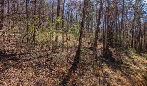Photo #2 of TBD SHELL HOLLOW LN, DAYTON, VA 1.8 acres