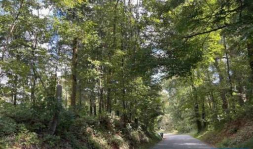 Photo #3 of TBD DRY BRIDGE RD, CHARLOTTESVILLE, VA 3.0 acres