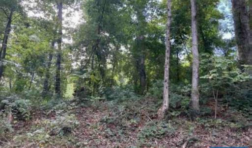 Photo #4 of TBD DRY BRIDGE RD, CHARLOTTESVILLE, VA 3.0 acres
