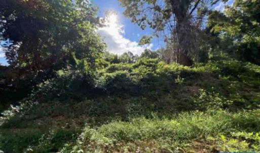 Photo #1 of TBD DRY BRIDGE RD, CHARLOTTESVILLE, VA 3.0 acres