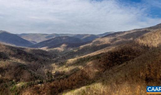 Photo #14 of TBD JACKS HILL RD, ROSELAND, VA 7.9 acres