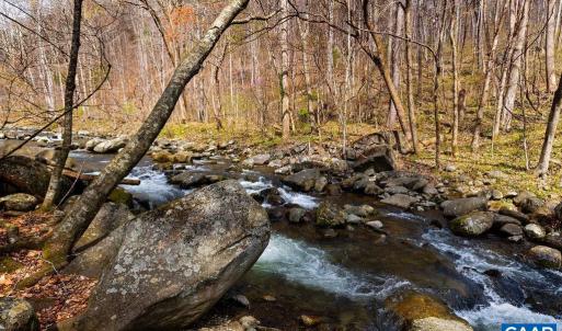 Photo #5 of TBD JACKS HILL RD, ROSELAND, VA 7.9 acres