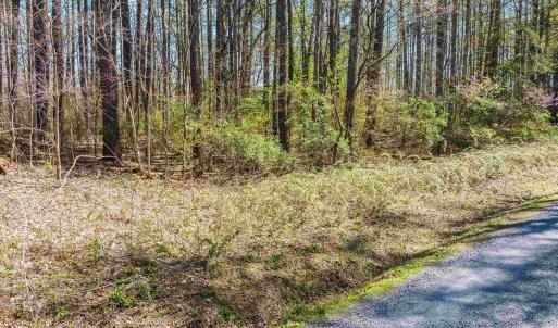 Photo #19 of TBD SHIPYARD RD, SHENANDOAH, VA 0.7 acres