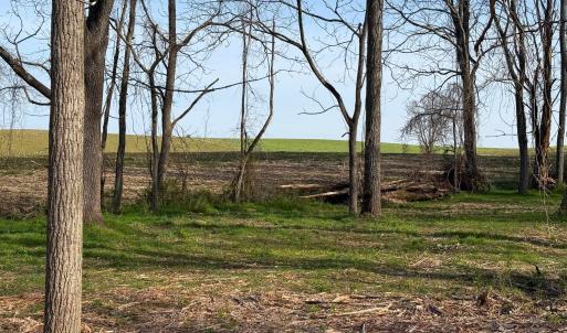 Photo #8 of TBD BROADHEAD SCHOOL RD, GREENVILLE, VA 3.9 acres