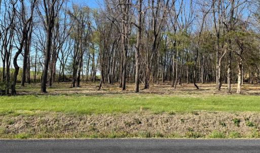 Photo #5 of TBD BROADHEAD SCHOOL RD, GREENVILLE, VA 3.9 acres