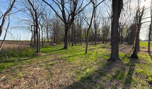 Photo #6 of TBD BROADHEAD SCHOOL RD, GREENVILLE, VA 3.9 acres