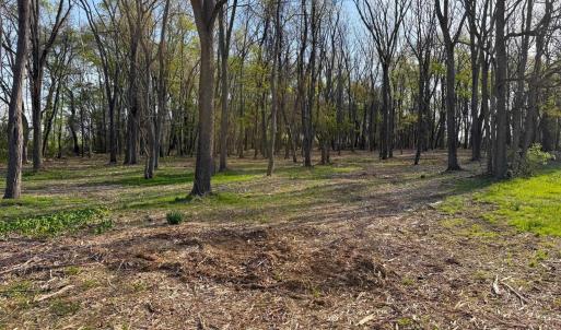 Photo #7 of TBD BROADHEAD SCHOOL RD, GREENVILLE, VA 3.9 acres