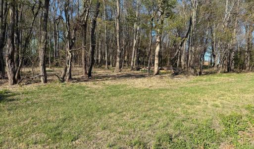 Photo #9 of TBD BROADHEAD SCHOOL RD, GREENVILLE, VA 3.9 acres