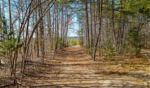 Photo #3 of CHURCHWOOD LN, CUMBERLAND, VA 208.7 acres