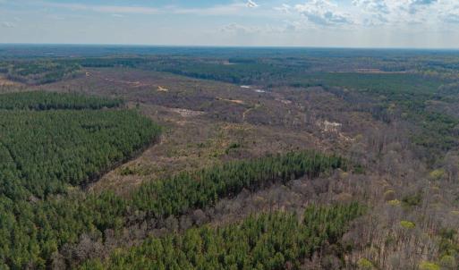 Photo #18 of CHURCHWOOD LN, CUMBERLAND, VA 208.7 acres