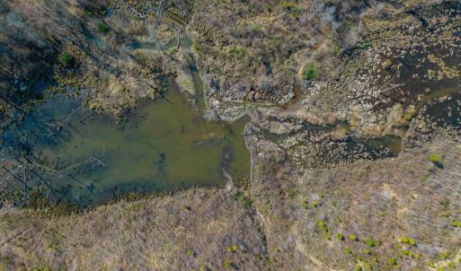 Photo #5 of CHURCHWOOD LN, CUMBERLAND, VA 208.7 acres