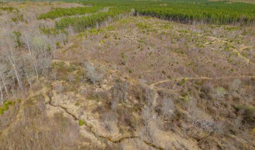 Photo #25 of CHURCHWOOD LN, CUMBERLAND, VA 208.7 acres