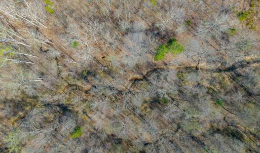 Photo #20 of CHURCHWOOD LN, CUMBERLAND, VA 208.7 acres