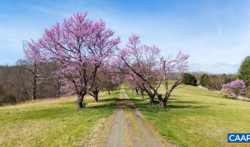 Photo #1 of Lot 17R MIMOSA LN, FABER, VA 2.4 acres