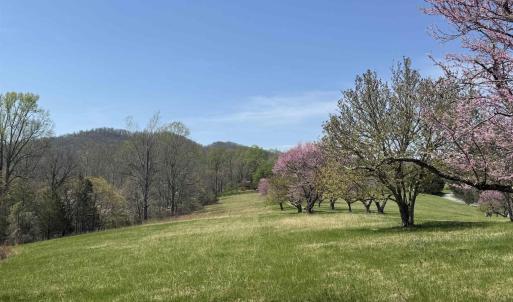 Photo #7 of Lot 17R MIMOSA LN, FABER, VA 2.4 acres