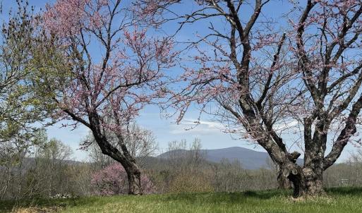 Photo #11 of Lot 17R MIMOSA LN, FABER, VA 2.4 acres