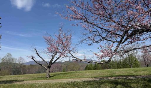 Photo #9 of Lot 17R MIMOSA LN, FABER, VA 2.4 acres