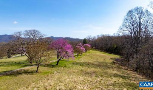 Photo #12 of Lot 17R MIMOSA LN, FABER, VA 2.4 acres