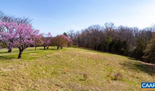 Photo #8 of Lot 17R MIMOSA LN, FABER, VA 2.4 acres