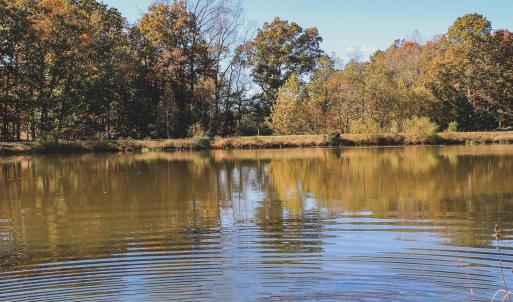 Photo #24 of TBD ROLLING RD S, SCOTTSVILLE, VA 26.3 acres