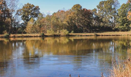 Photo #25 of TBD ROLLING RD S, SCOTTSVILLE, VA 26.3 acres