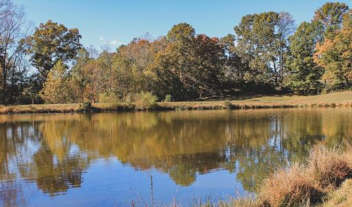 Photo #23 of TBD ROLLING RD S, SCOTTSVILLE, VA 26.3 acres