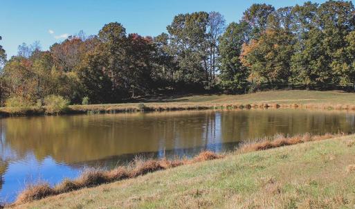 Photo #22 of TBD ROLLING RD S, SCOTTSVILLE, VA 26.3 acres