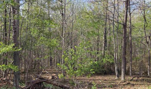Photo #3 of TBD SCENIC HWY, MOUNT SOLON, VA 3.2 acres